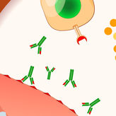 Autoantikörper als Biomarker bei Rheuma